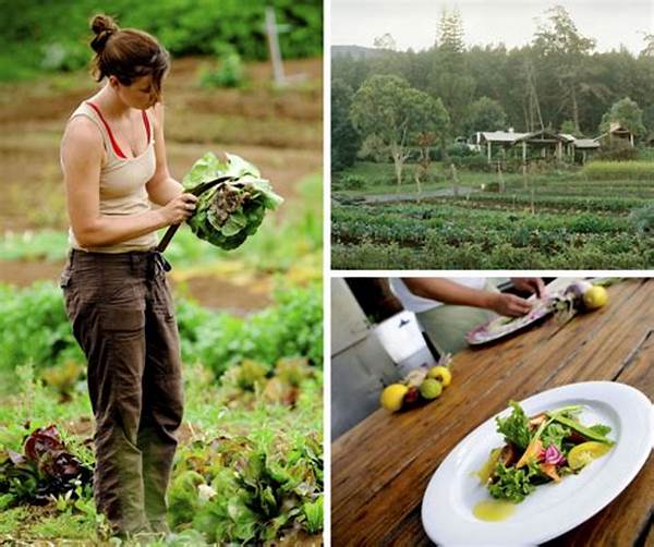 Organic Farm Partnerships In Dining